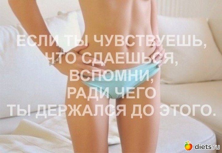 249 ����: ���������