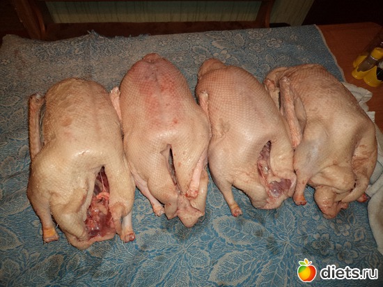 4 ����: ��� ����