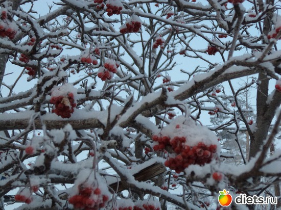 1 ����: ����