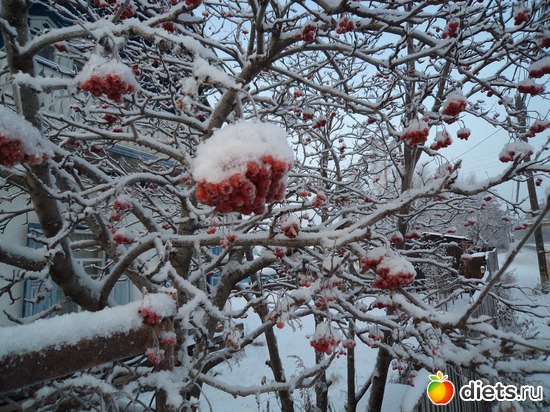 2 ����: ����