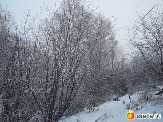 4 ����: ����