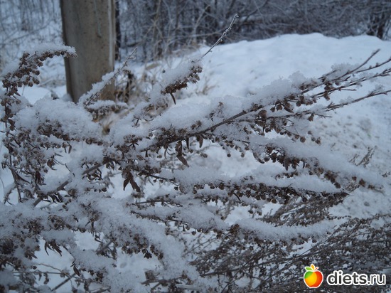 5 фото: зима