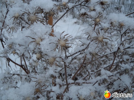 6 ����: ����