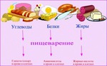 Белки, жиры, углеводы