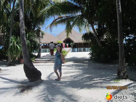 1 ����: ��������