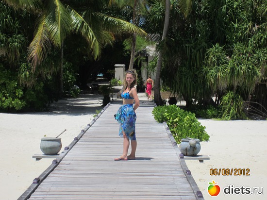 3 ����: ��������