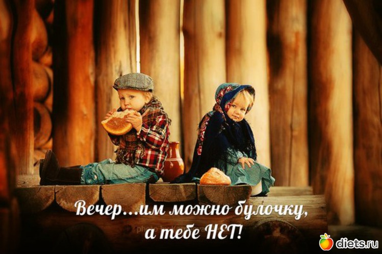 1 ����: �������