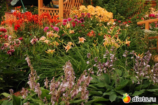 лето, альбом: И я люблю цветы