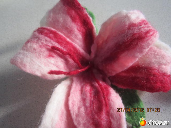 24 ����: ���������