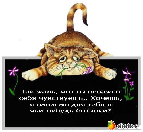 ��� ������