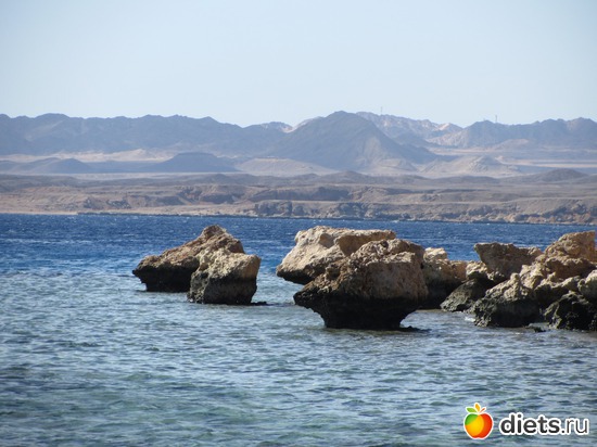 ����, ������: ������ ����-���-����