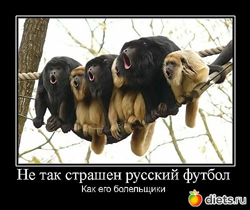 ��������� �� ��������� - ������� ����������