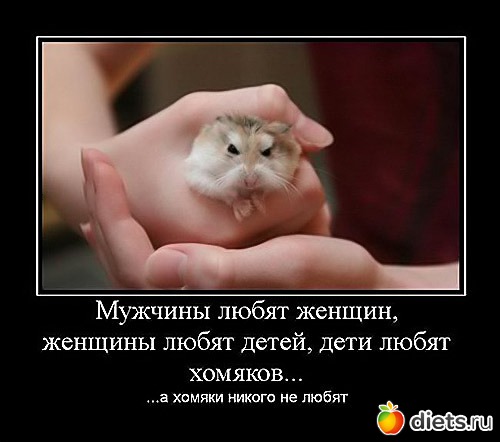 ��������� �� ��������� - ������� ����������