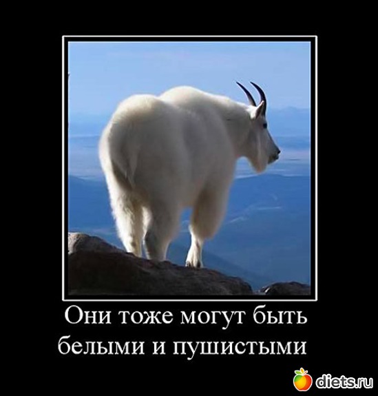 6 ����: ��������� �� ��������� - ������� ����������