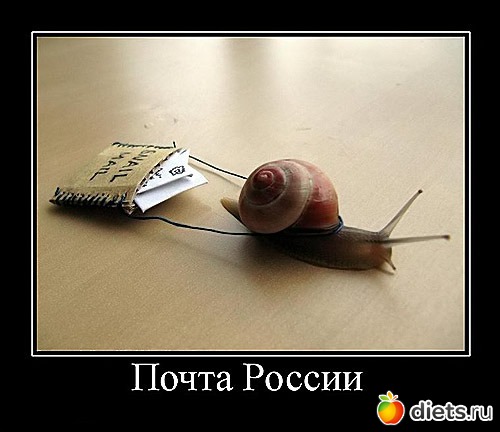 ��������� �� ��������� - ������� ����������