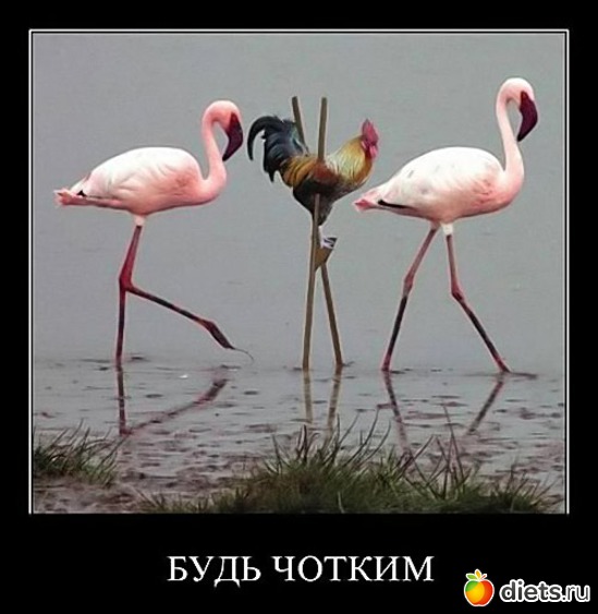 8 ����: ��������� �� ��������� - ������� ����������