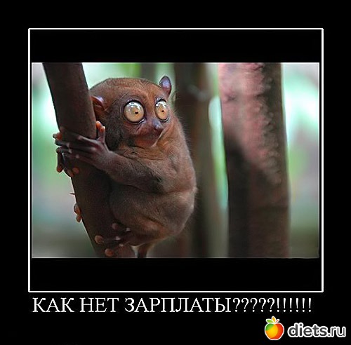 ��������� �� ��������� - ������� ����������