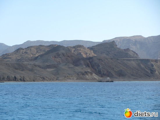 37 ����: ������ ����-���-����