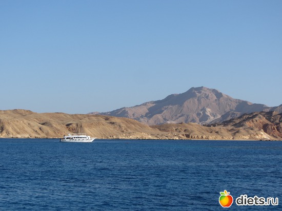 40 ����: ������ ����-���-����