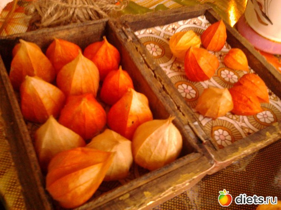 5 ����: ��� �����