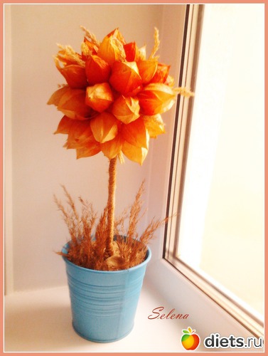 8 ����: ��� �����