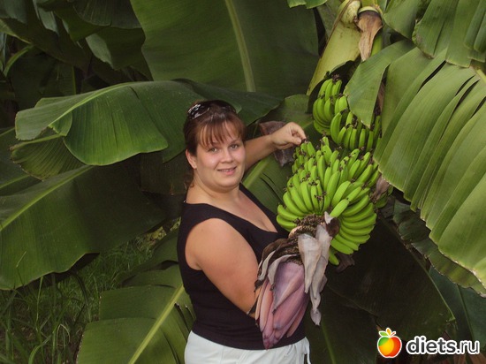 Турция 2008, альбом: это было давно....