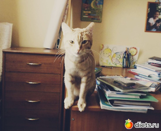 3 ����: � � ��� ��� :* 2012