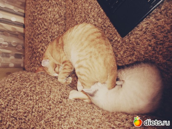 4 ����: � � ��� ��� :* 2012