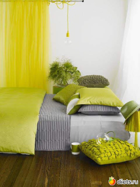 236 ����: �������