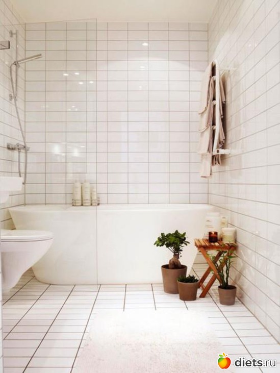 244 ����: ������