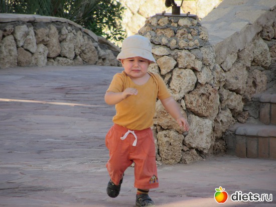 61 ����: ������ ����-���-����