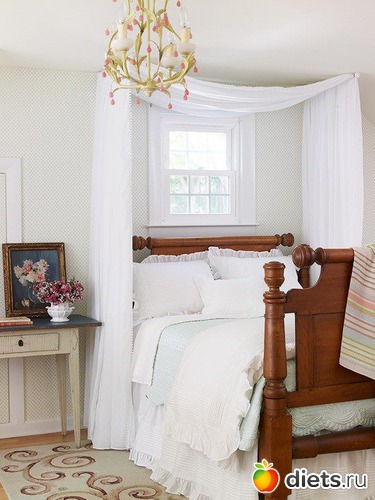 231 ����: �������