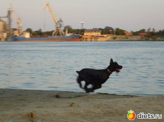 33 фото: Мои мальчишки