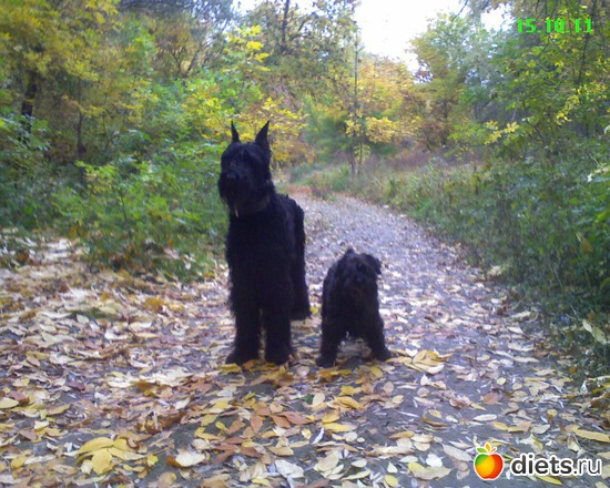 35 фото: Мои мальчишки