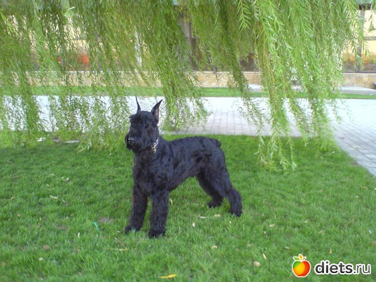 29 ����: ��� ���������