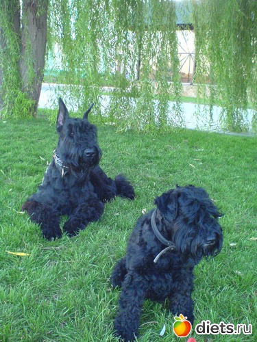 31 фото: Мои мальчишки