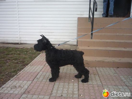 12 фото: Мои мальчишки