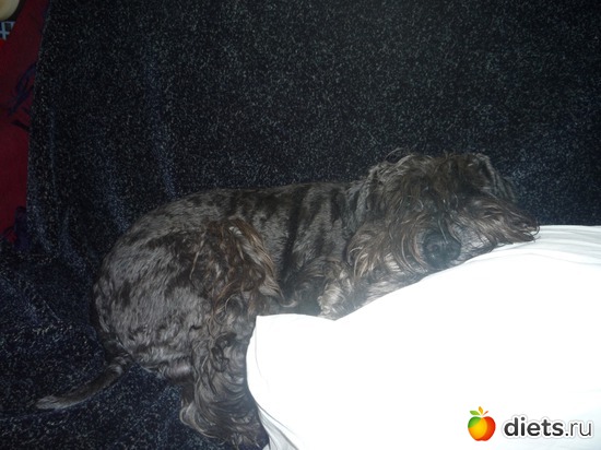 14 ����: ��� ���������