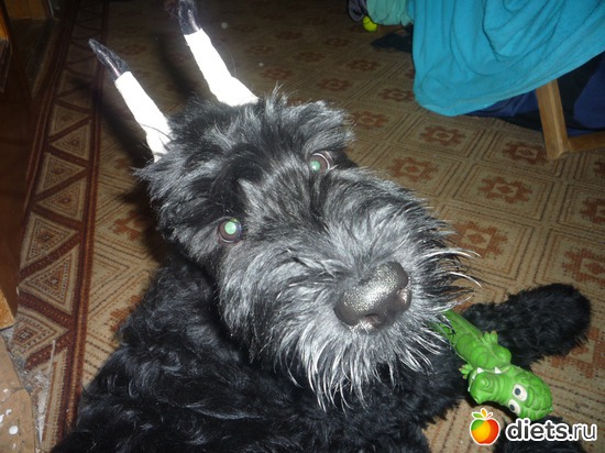 15 фото: Мои мальчишки