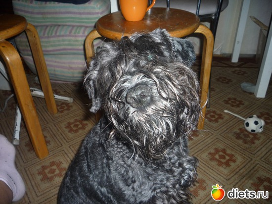 16 ����: ��� ���������