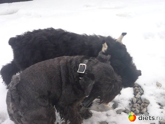 играем вместе, альбом: Мои мальчишки