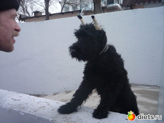 19 фото: Мои мальчишки