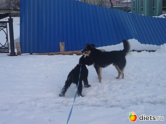 ������ ������� ������� � ������, ������: ��� ���������