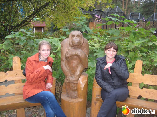 5 ����: ������