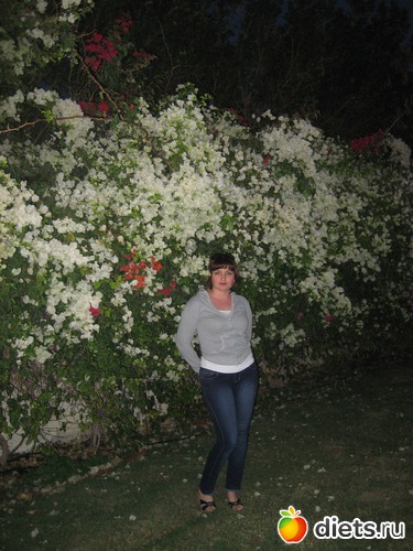 9 ����: ������