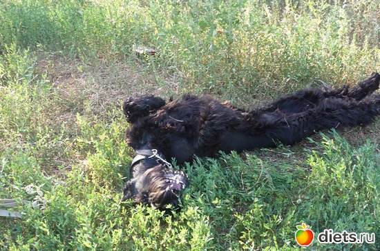 22 фото: Мои мальчишки