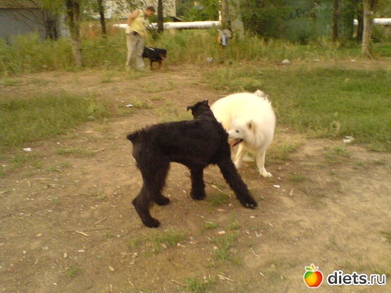 24 фото: Мои мальчишки