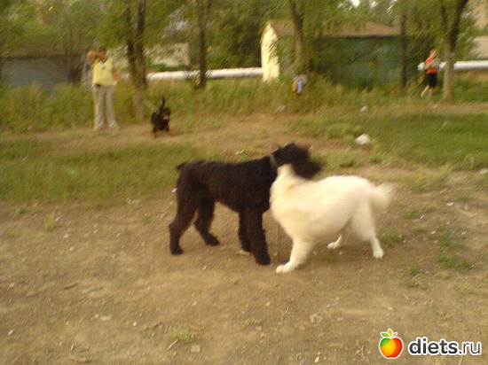 25 фото: Мои мальчишки