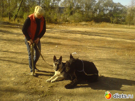 с лучшим другом, альбом: Мои мальчишки