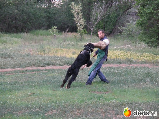 �� ��������., ������: ��� ���������